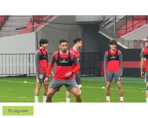 沪媒曝莱昂纳多膝伤在身海港或引进备用外援前锋应对赛季挑战一线